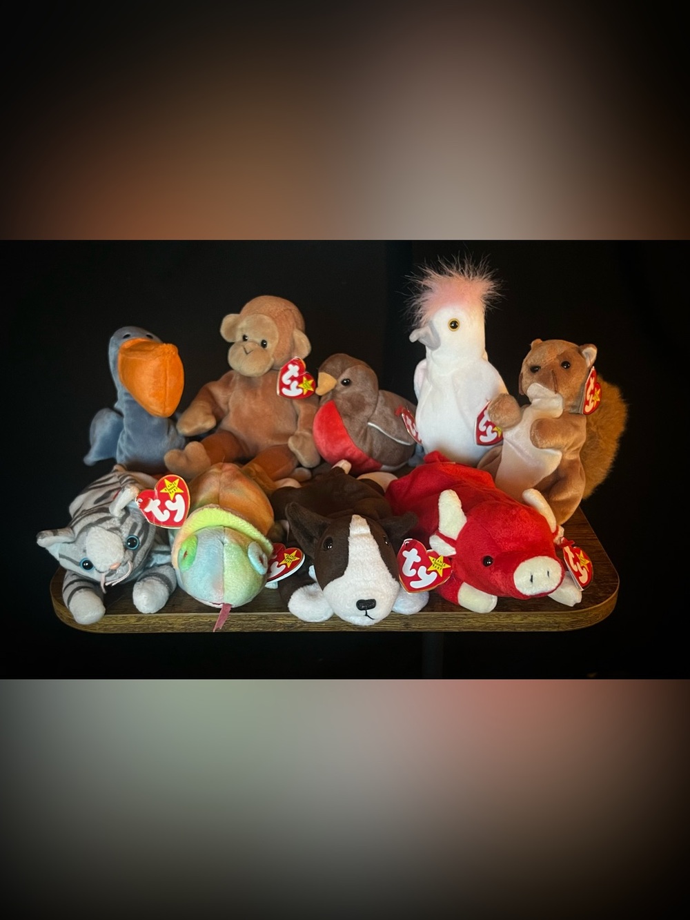 Beanie Babies - 1990’s - Lot of Nine